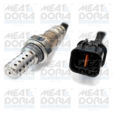 Oxygen Sensor